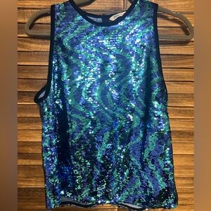 Zara Blue and Green Sequin Top